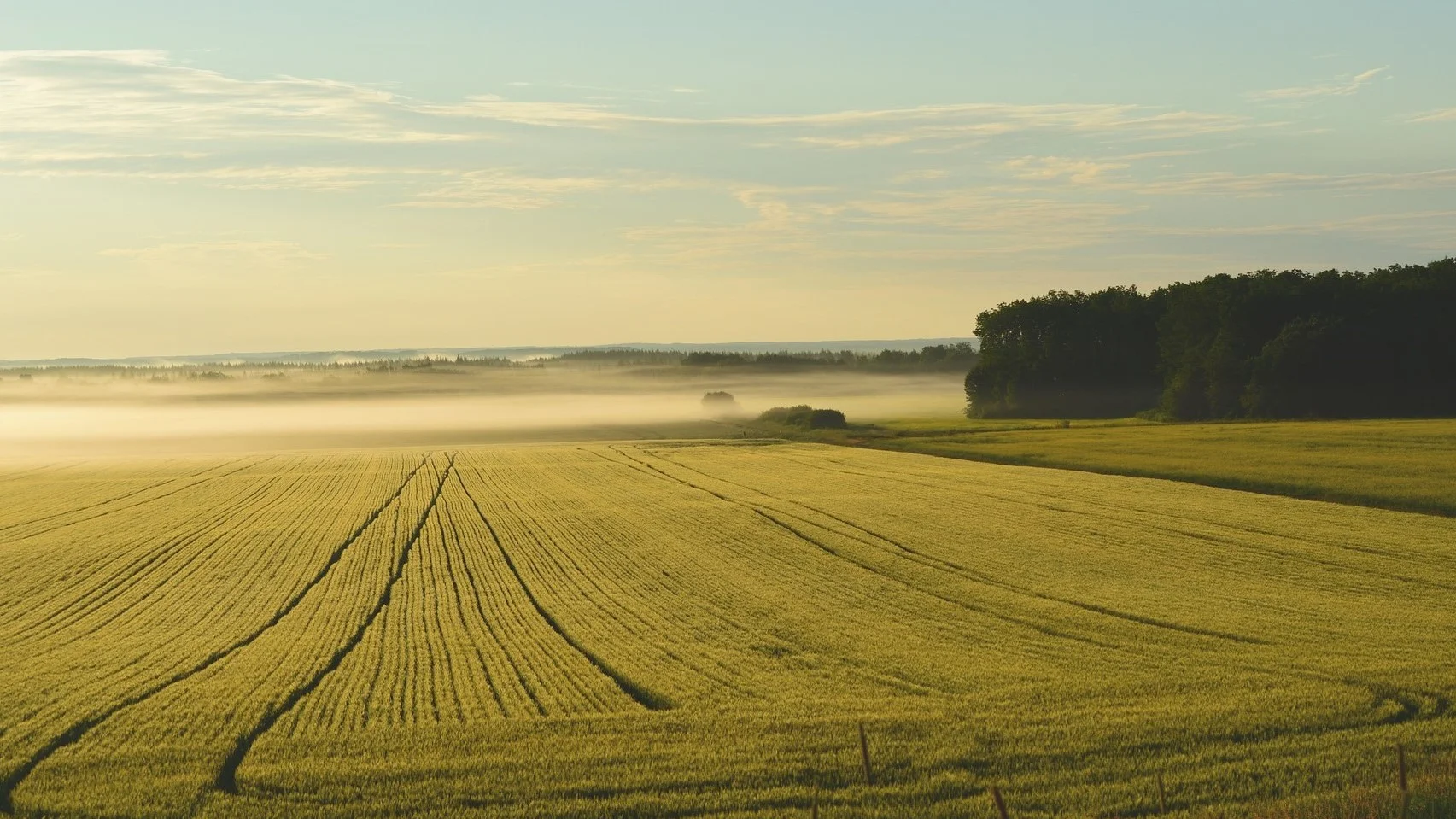 Agroalimentare