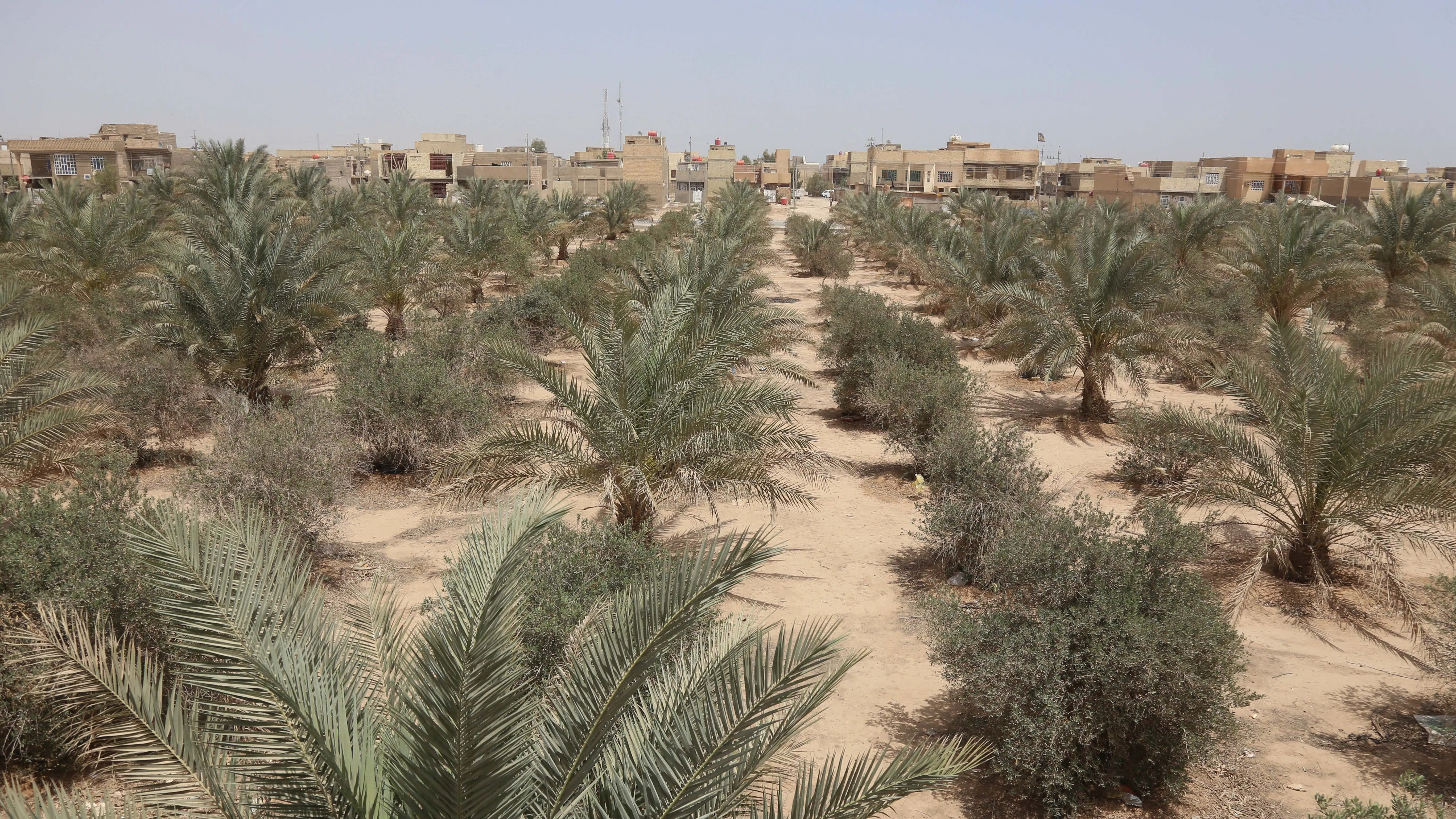 Kerbala
