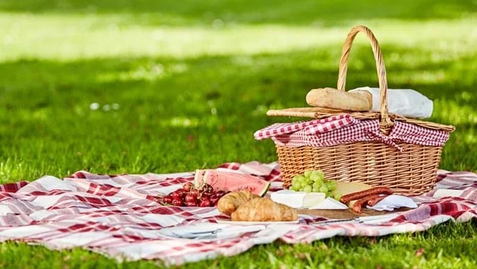 picnic