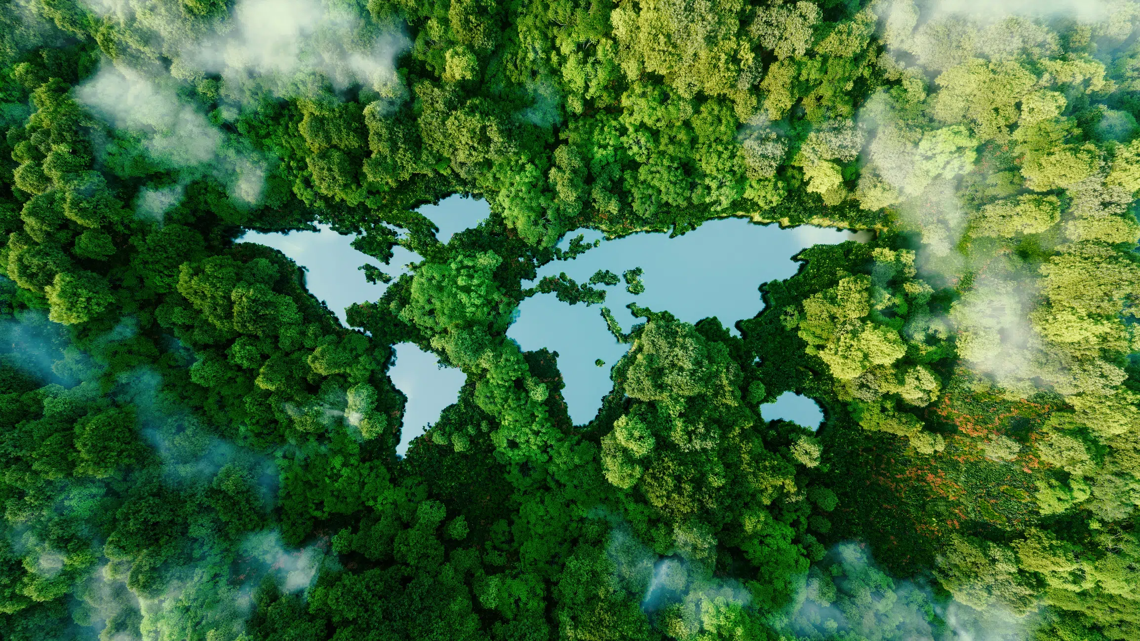 terra