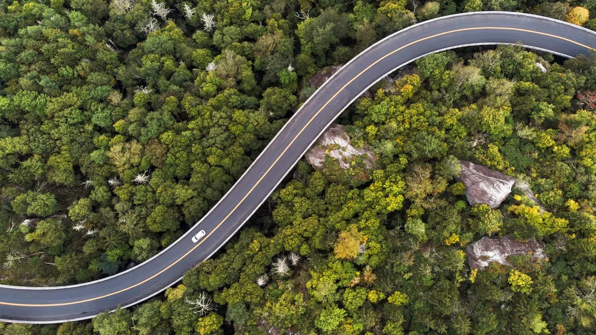 mobilità