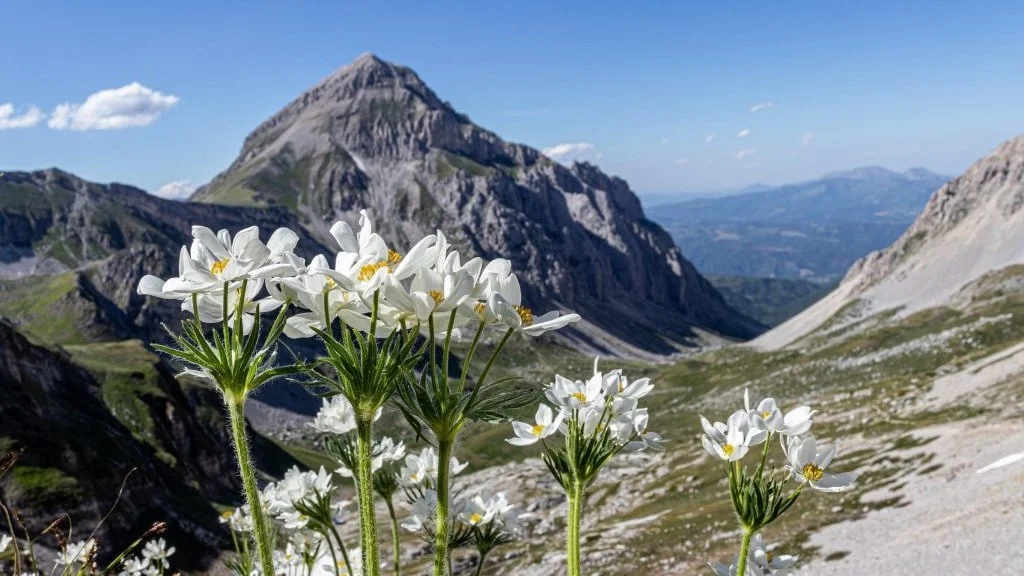Giornata mondiale della biodiversità