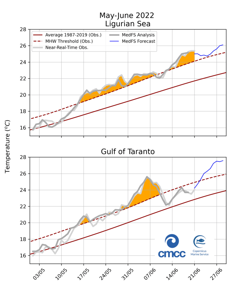 analisi mediterraneo