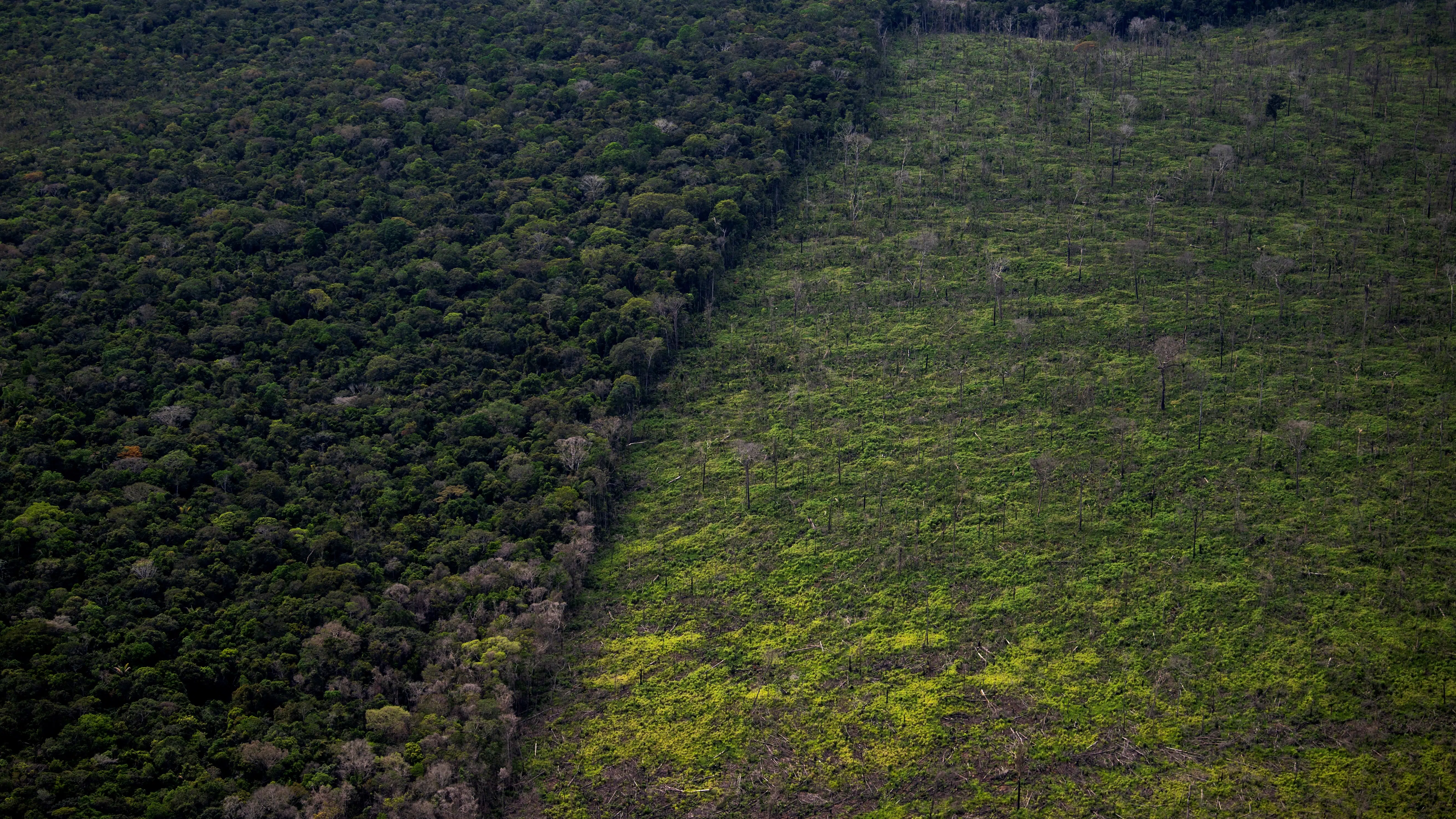 Amazzonia
