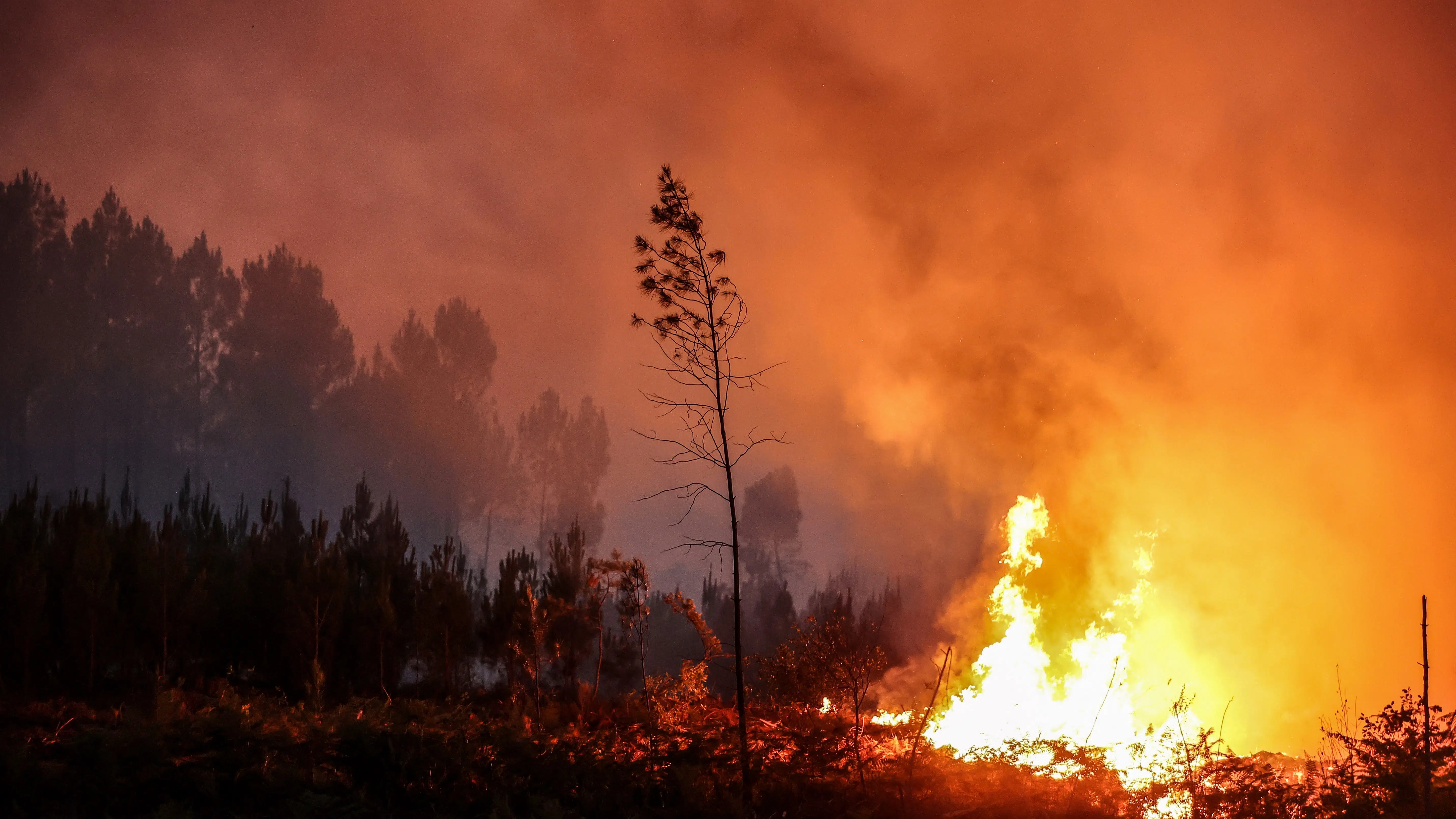 Incendio
