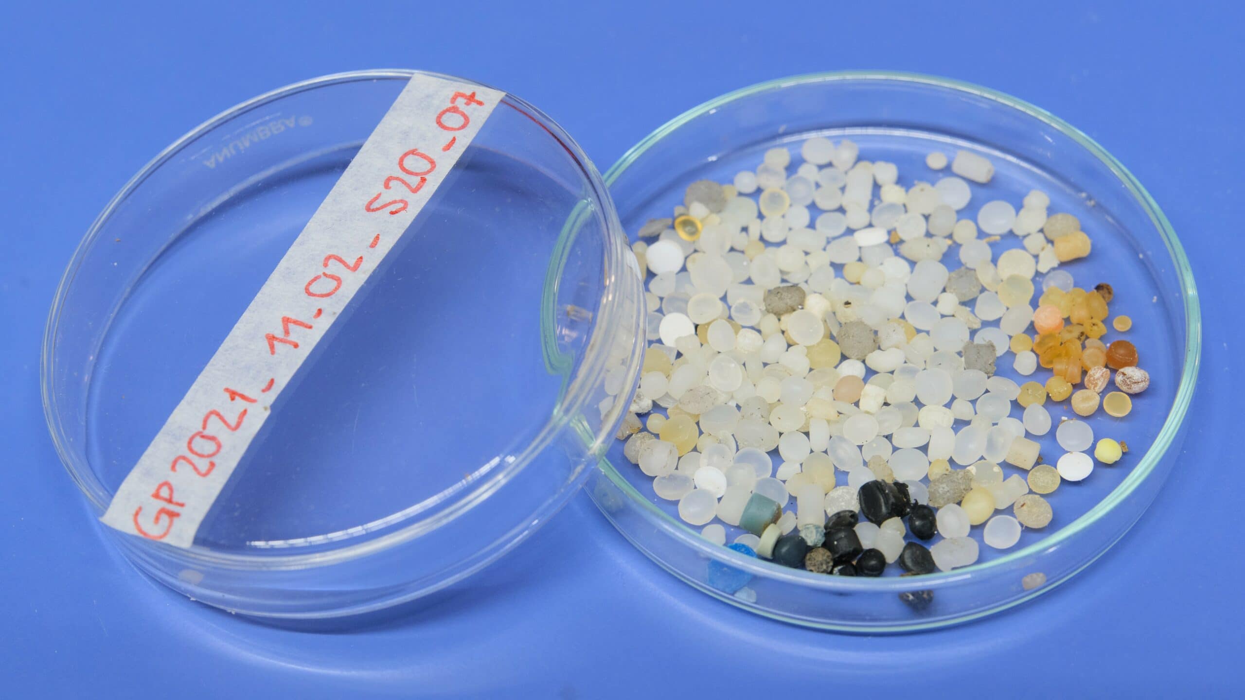 microplastiche