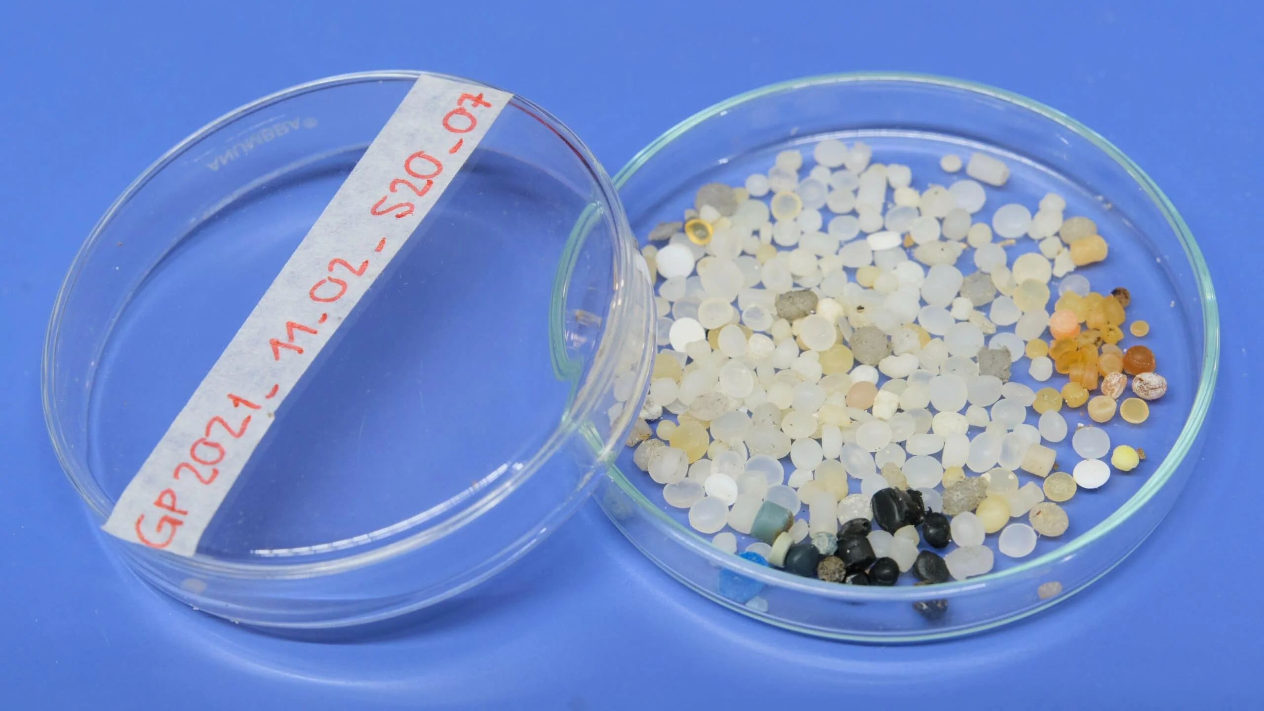 microplastiche