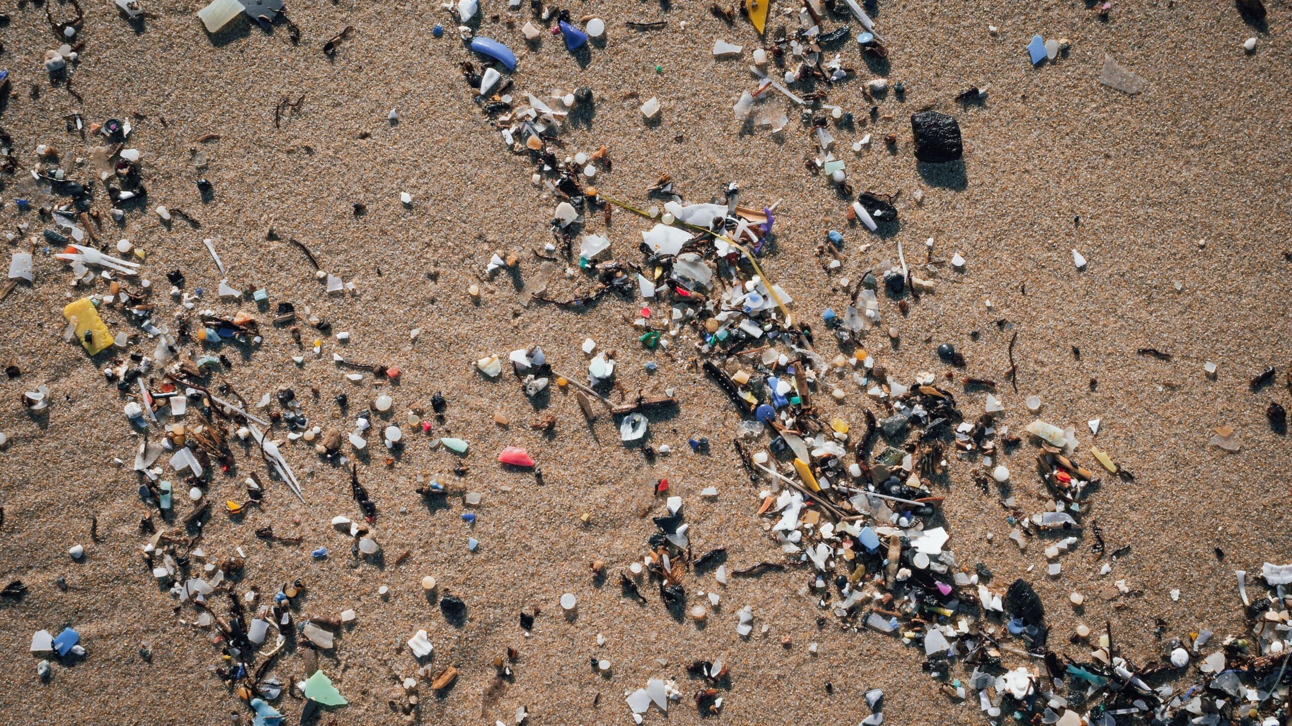 microplastiche