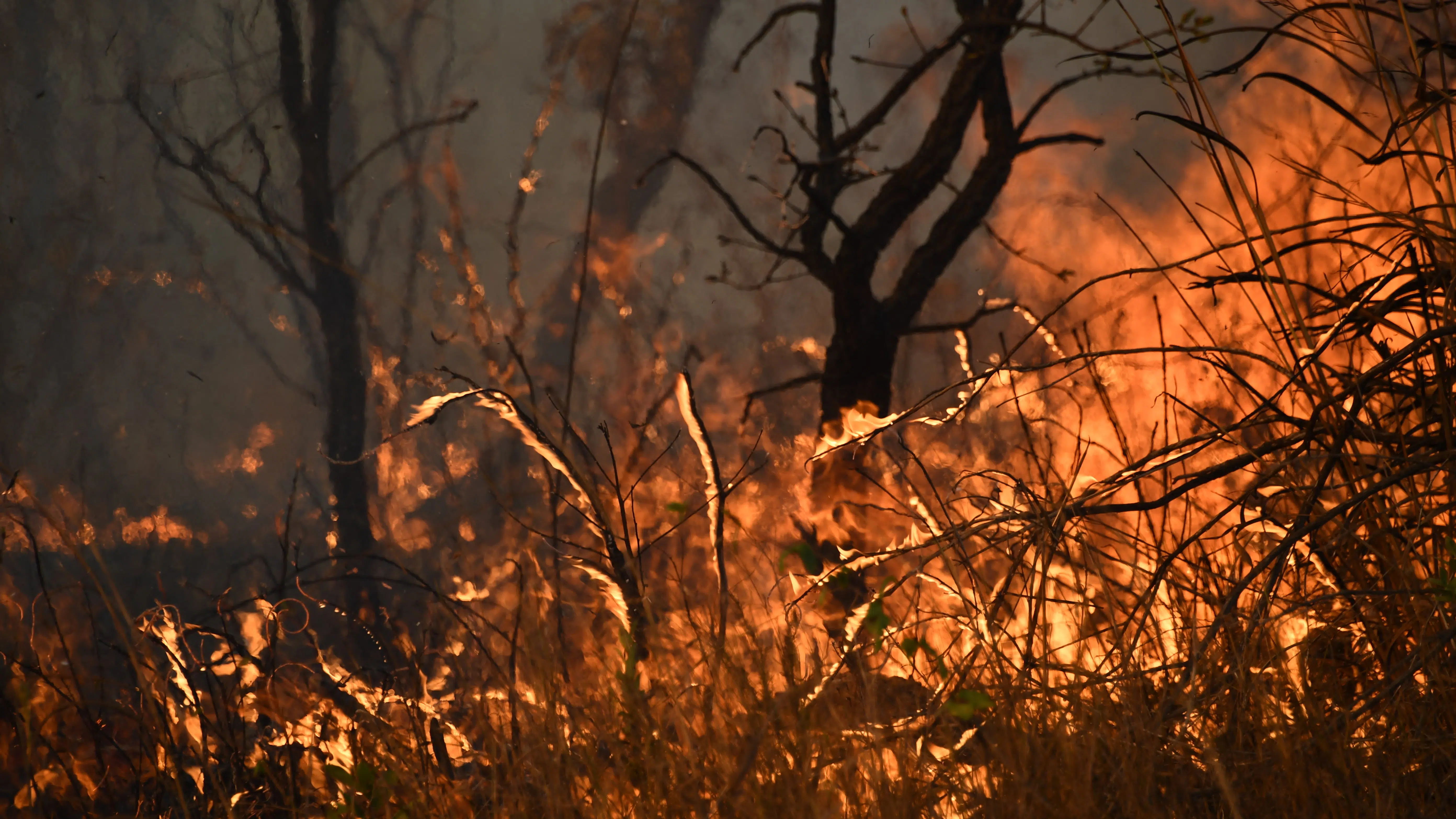 incendio