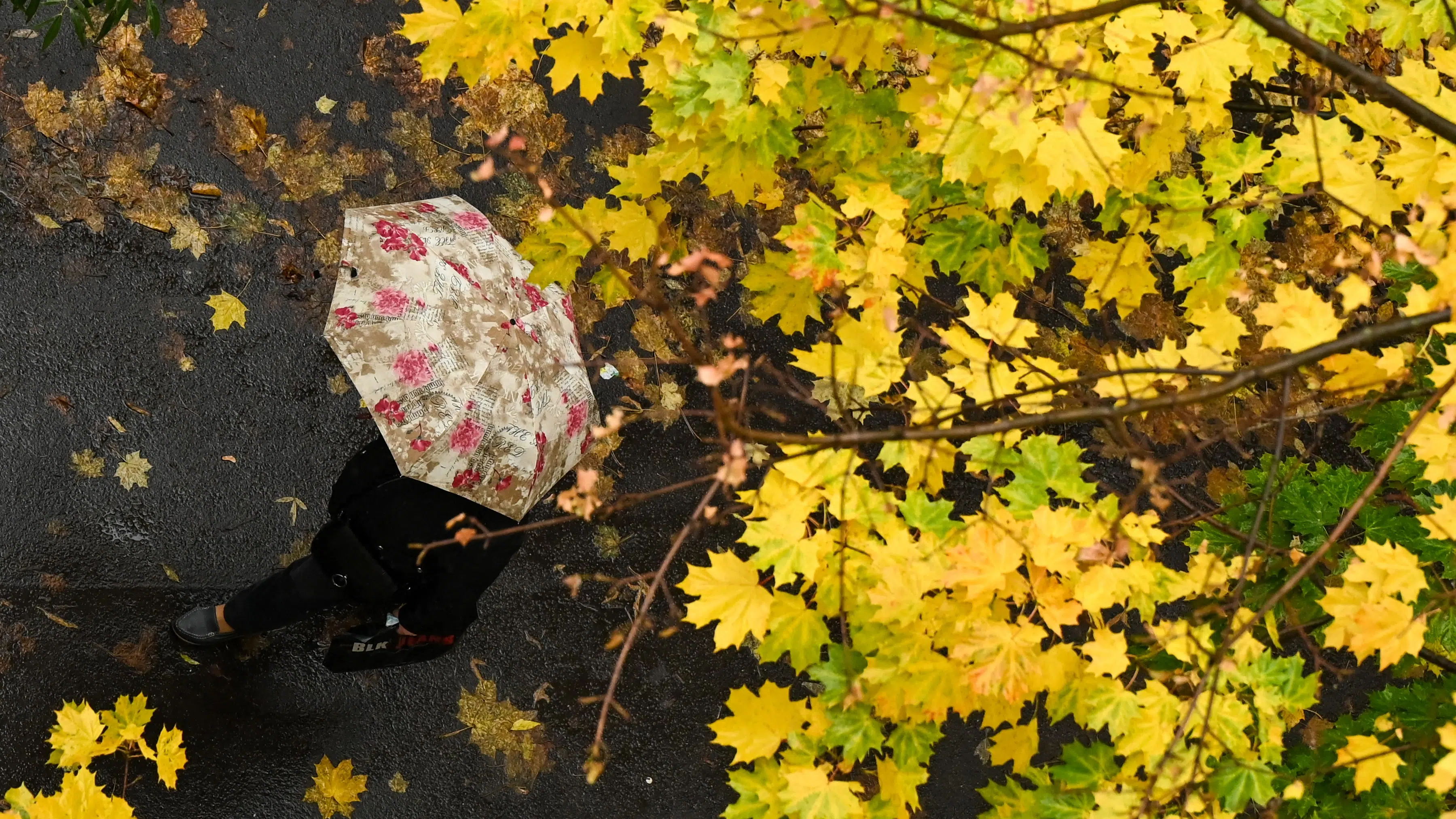 pioggia autunno