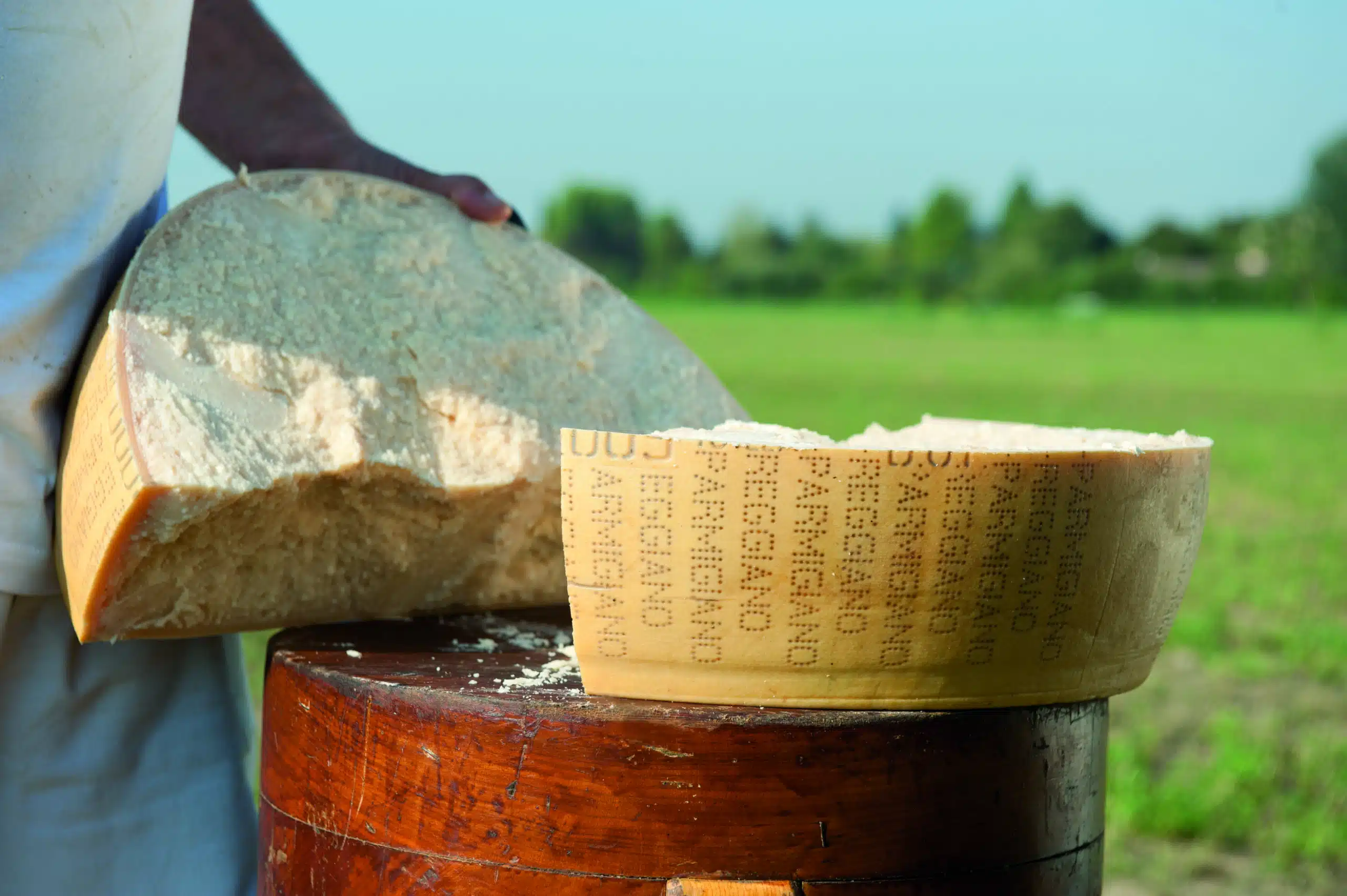 Parmigiano reggiano