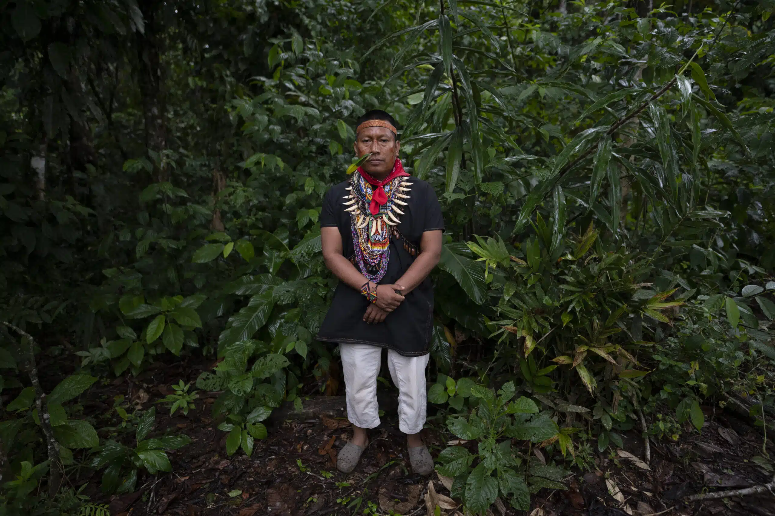 Cofan Avie - Amazzonia